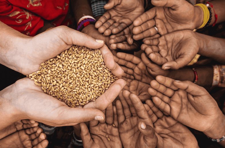 Hands waiting for food